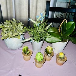 Fake Plants $3 Each 