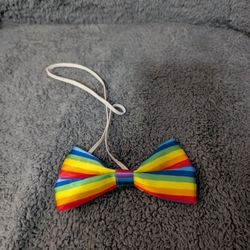 Rainbow Costume Accessories 