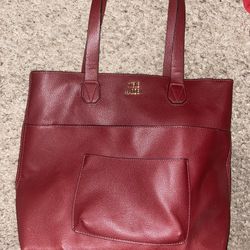 Steve Madden Purse 