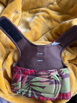 Cat harness, leash, and t-shirt for small pet