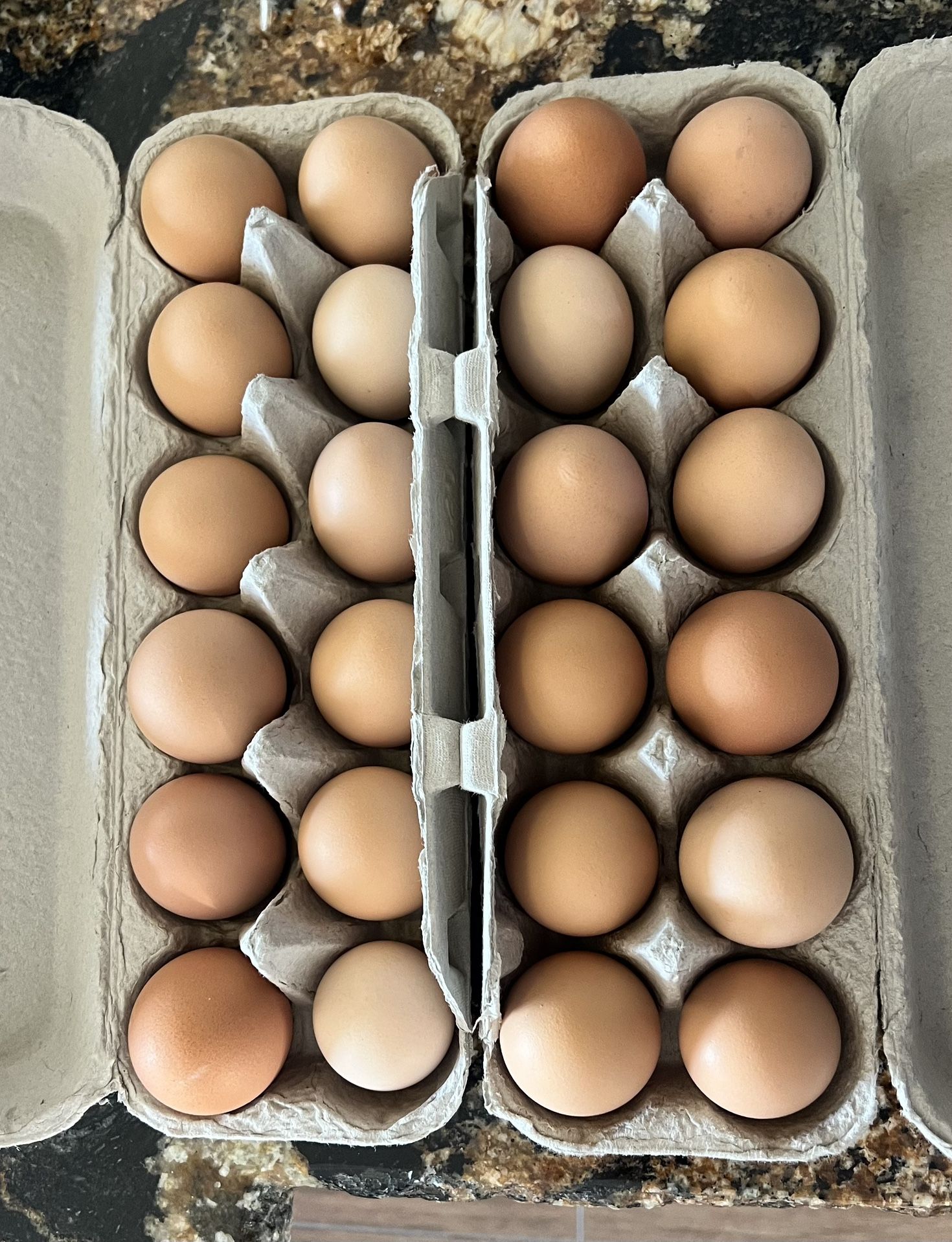 Fresh Pasture Raised Eggs. Unwashed