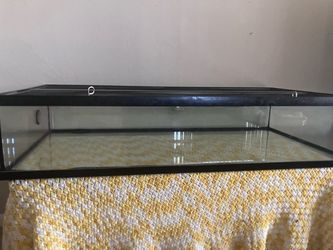 Reptile cage with lights