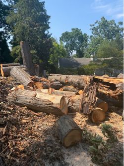 Free Fire Logs
