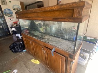 125 Gallon glass aquarium with everything shown