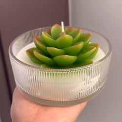 Succulent Candle