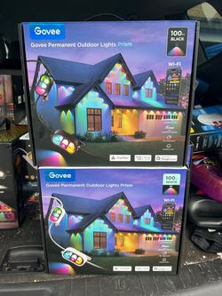 Govee permanent outdoor lights prism 100ft