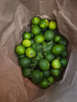Limones de casa