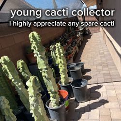 I appreciate any spare cacti