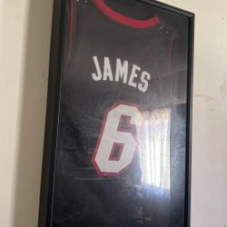 Lebron James Miami Jersey