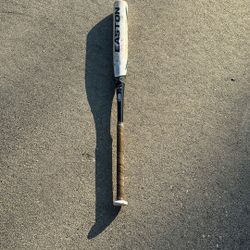 Softball Bat Easton ghost