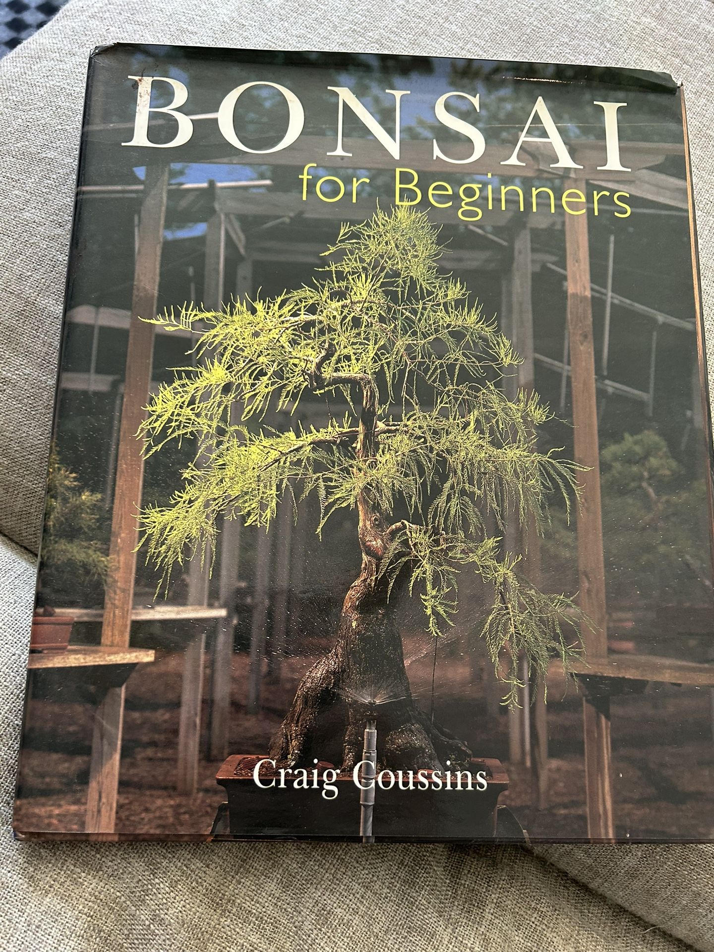 Bonsai Books