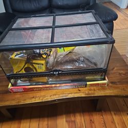 Habitat For Snake Or Turtle, Bearded dragon