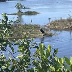 Anyone Need Any Help Cleaning?