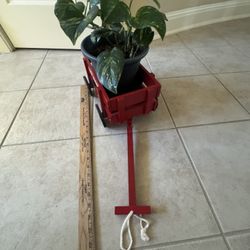 Pothos Real Plant In Functional Wagon 