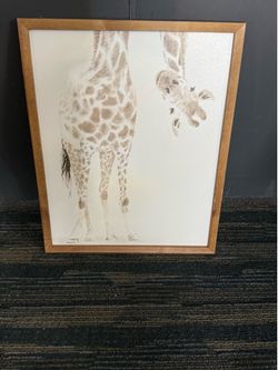 Giraffe pic