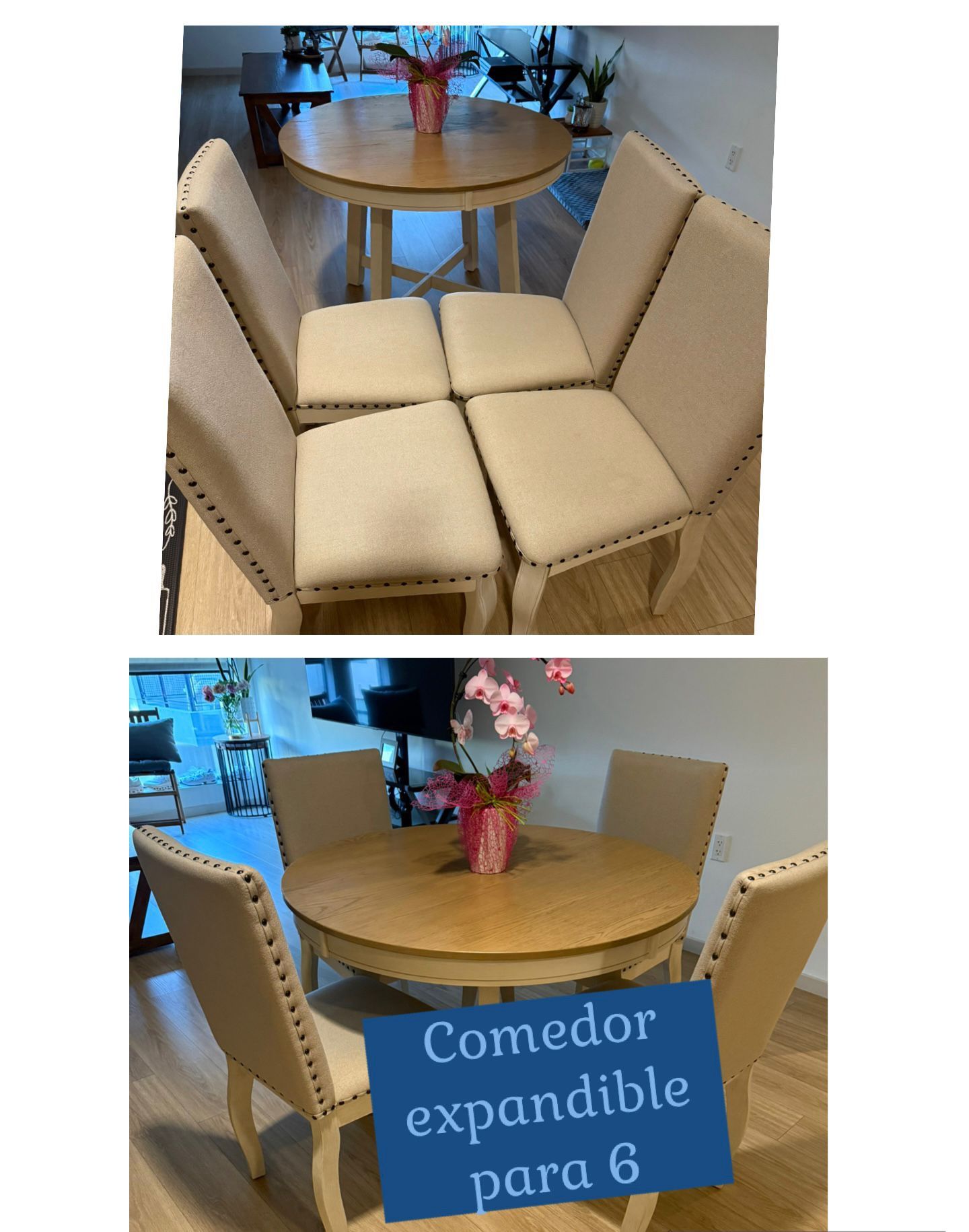 dinning table