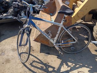 Giant Hybrid Bike Blue and Silver