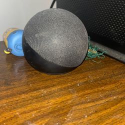 Brand New Alexa 