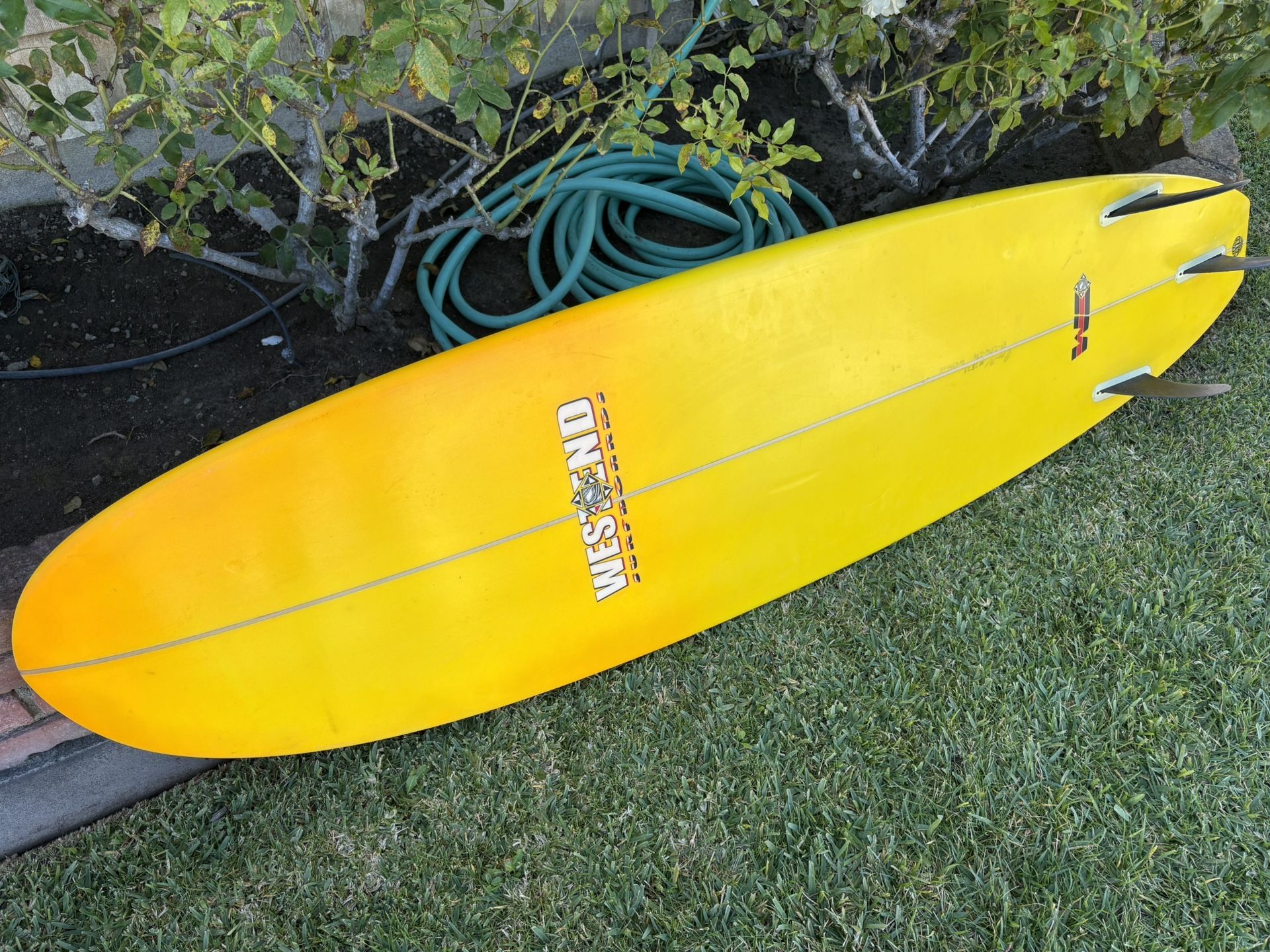 Surfboard Egg shaped Fun Board