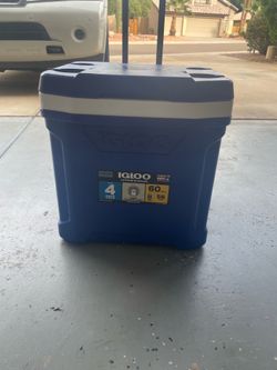 Igloo cooler-new