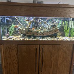 55 Gallons Tank (ALL)