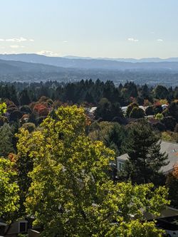 XS Grey's Anatomy Scrubs - multiple colors