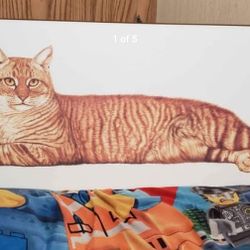 Orange Tabby -Jacqui Vaux print