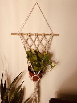 Hanging macrame with hanging plant: