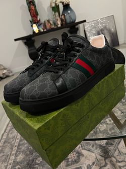 Gucci aces