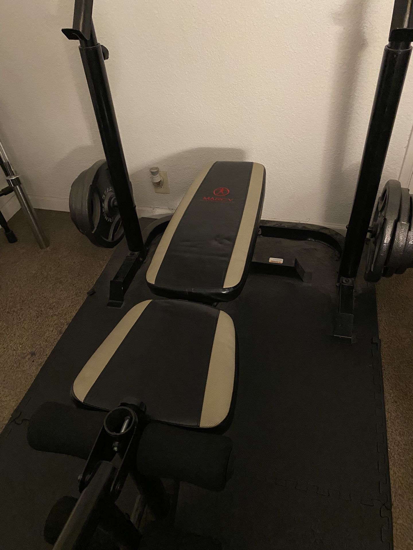 Gym Equipment 