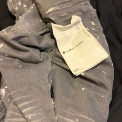 Not Free !! Purple Jeans 