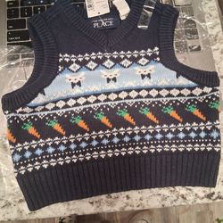 The Children's Place Boy Sweater.