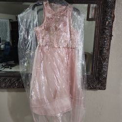 Rare Editions Blush Dress