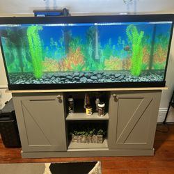 75 Gallon Fish Tank 