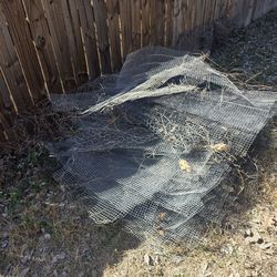 Lots of chicken wire and cages make me an offer