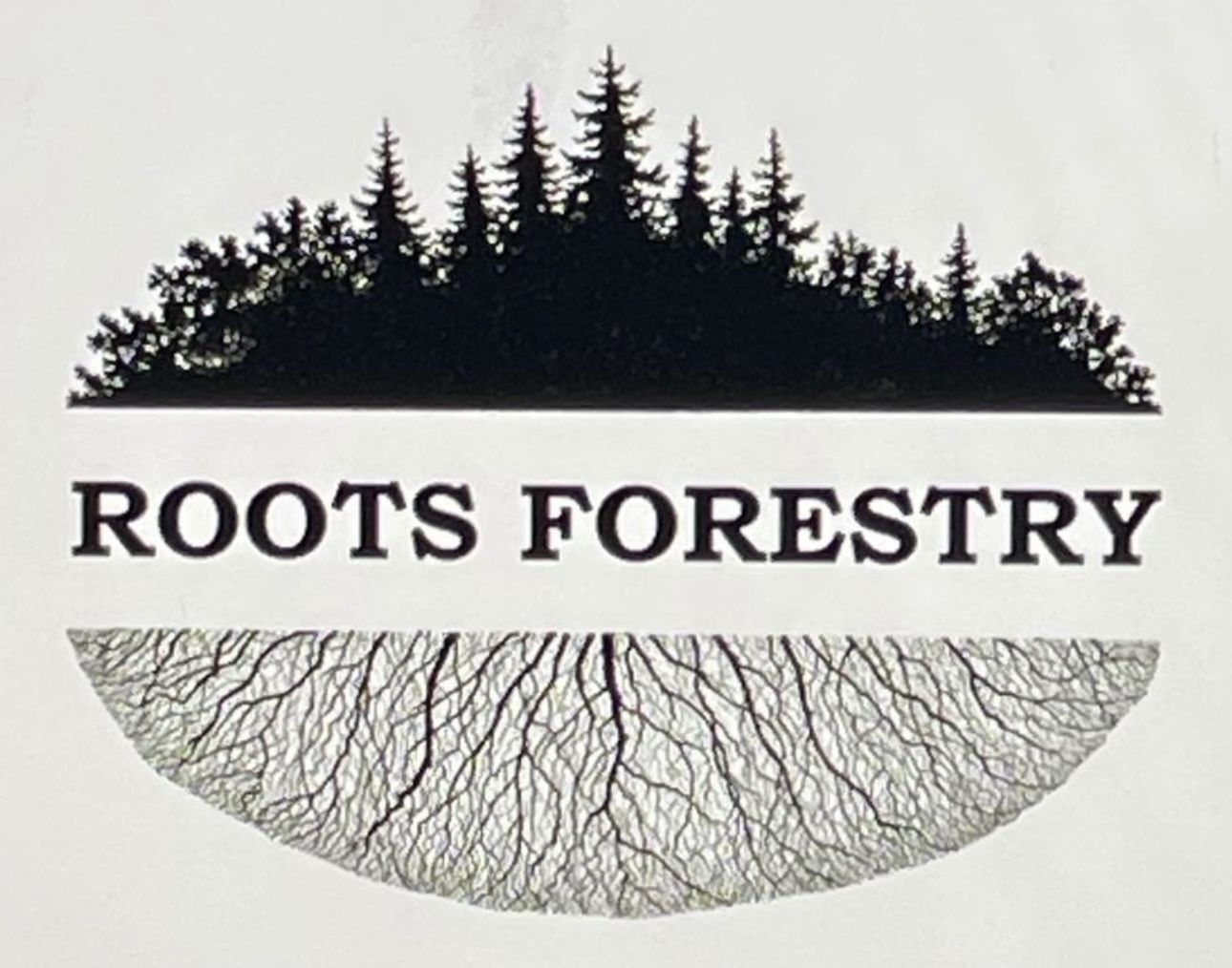 Roots Forestry | Firewood