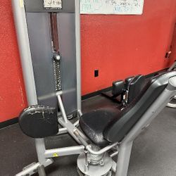 PREACHER CURL / HIP ADDUCTION