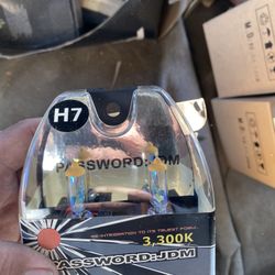 H7 Headlight Bulbs