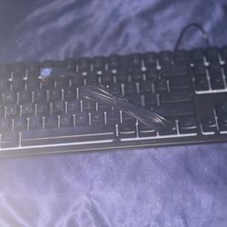 Keyboard And Mouse (Brand New)