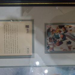 Dan Marino Wall Picture 