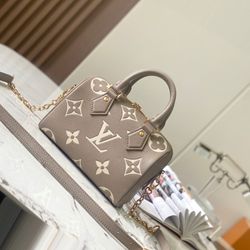 Sleek Louis Vuitton Speedy Bag 