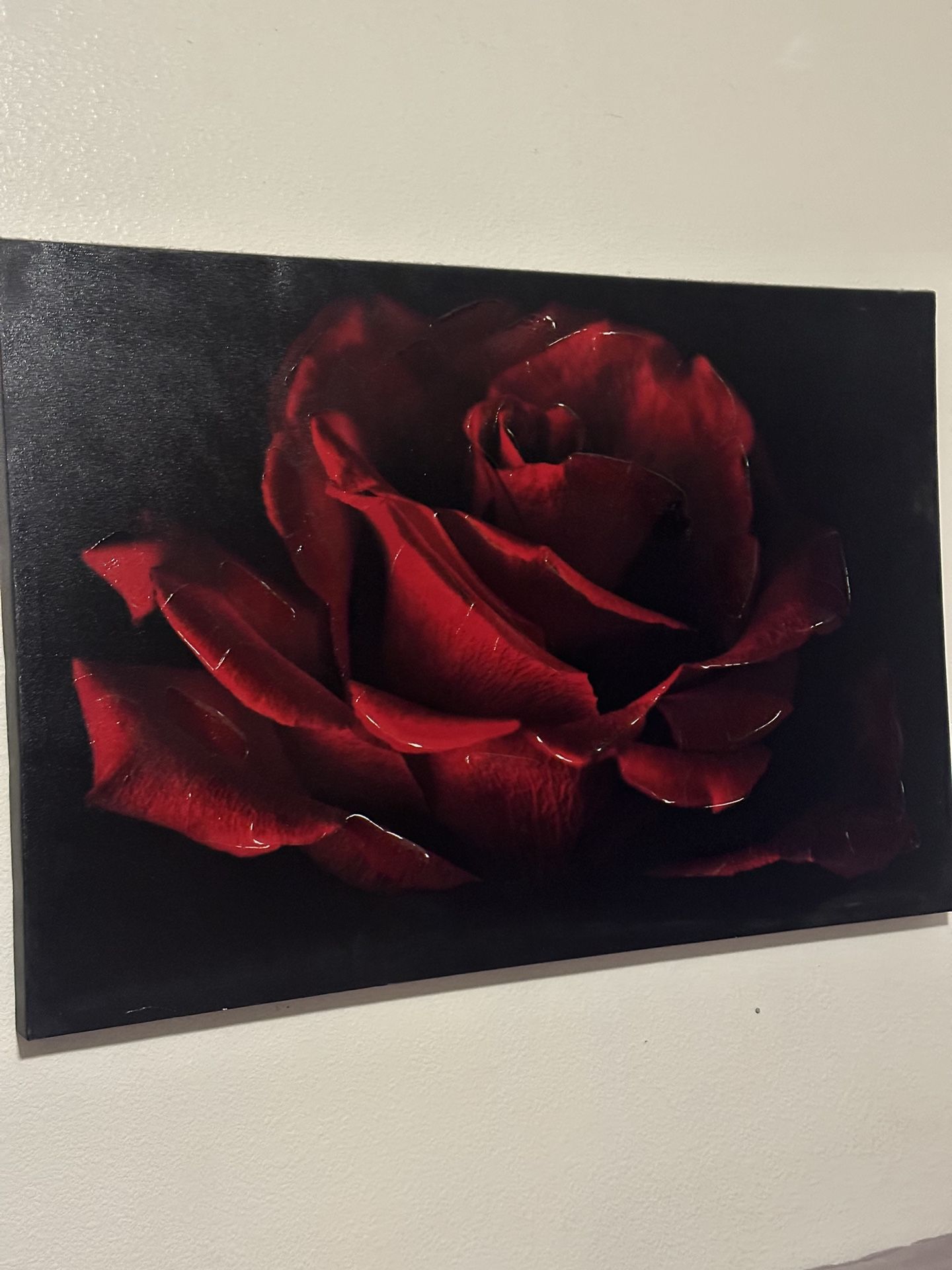 Red Rose Canvas