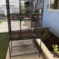 Bird Cage