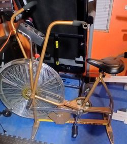 vintage gold Schwinn Airdyne dual-action stationary exercise bike