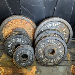 ROGUE OLYMPIC PLATES