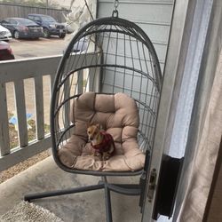Patio Swing 
