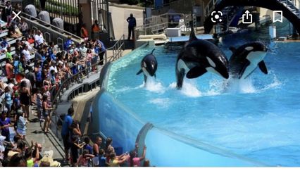 Seaoworld tickets