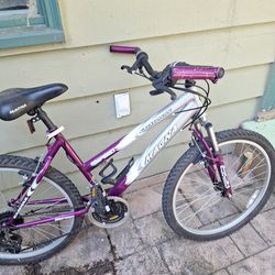 20 inch magna  21 speed  nike