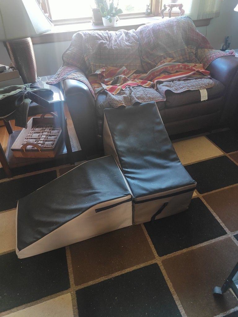 Dog Ramp