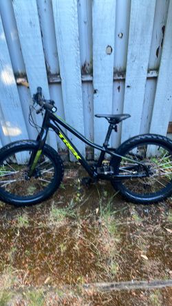Roscoe 20 kids bike